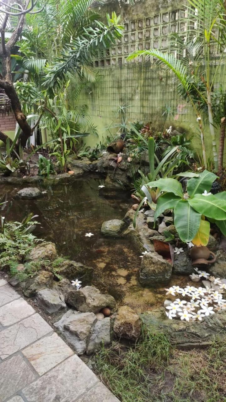 Jardim De Cabo Branco *